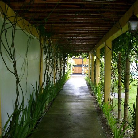 Greenyard Inn Manoc-Manoc Bagian luar foto
