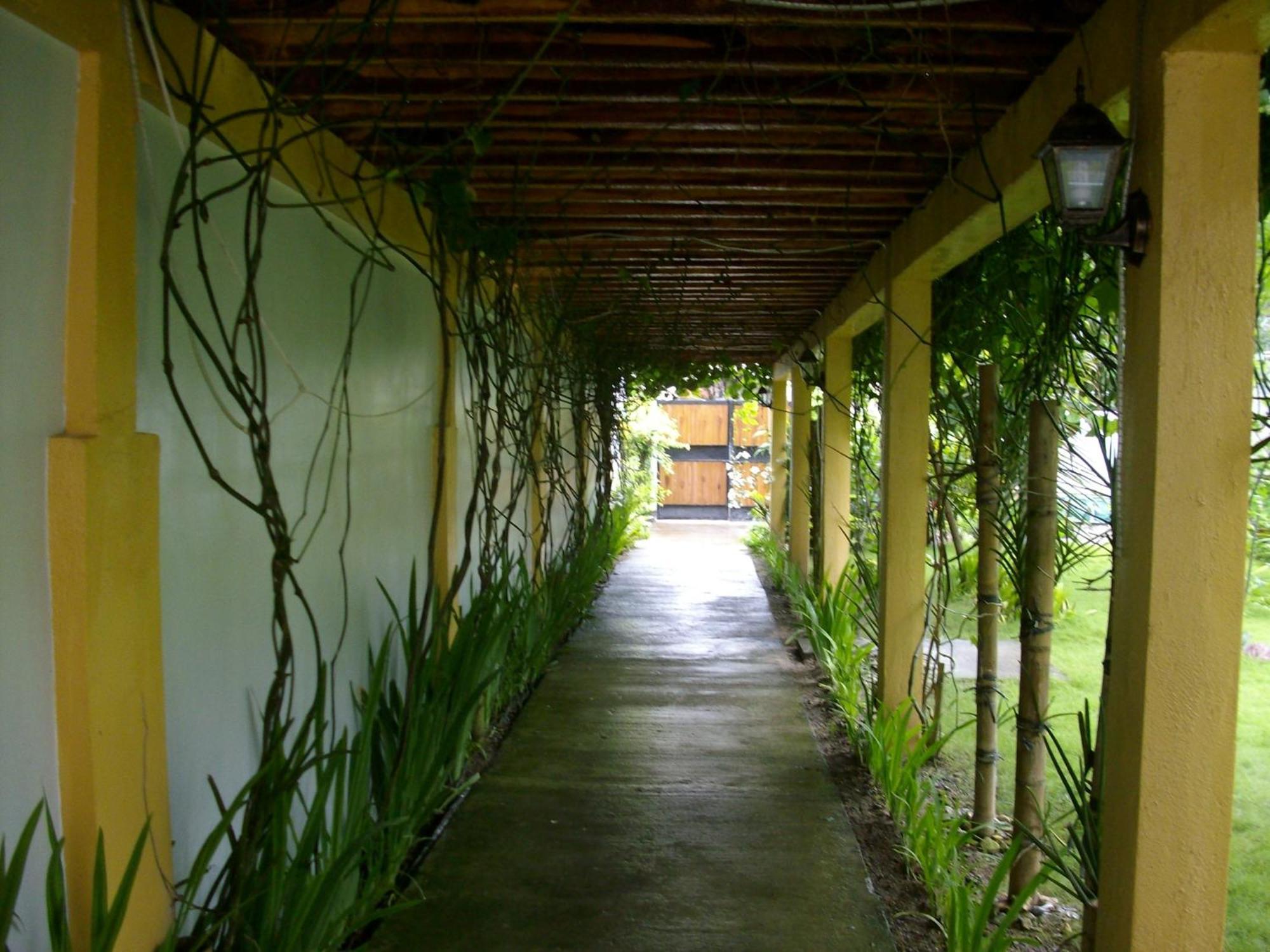 Greenyard Inn Manoc-Manoc Bagian luar foto