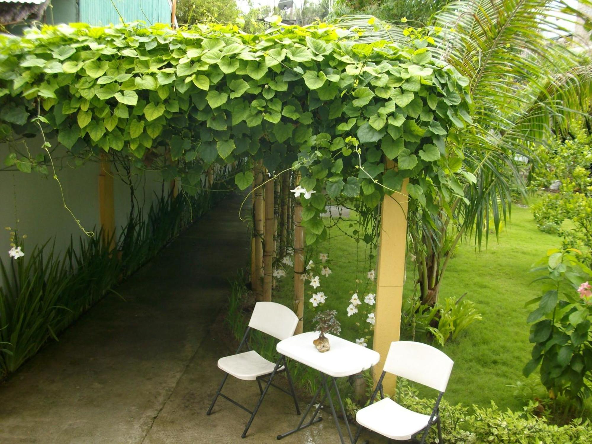 Greenyard Inn Manoc-Manoc Bagian luar foto